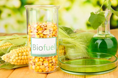 Footbridge biofuel availability